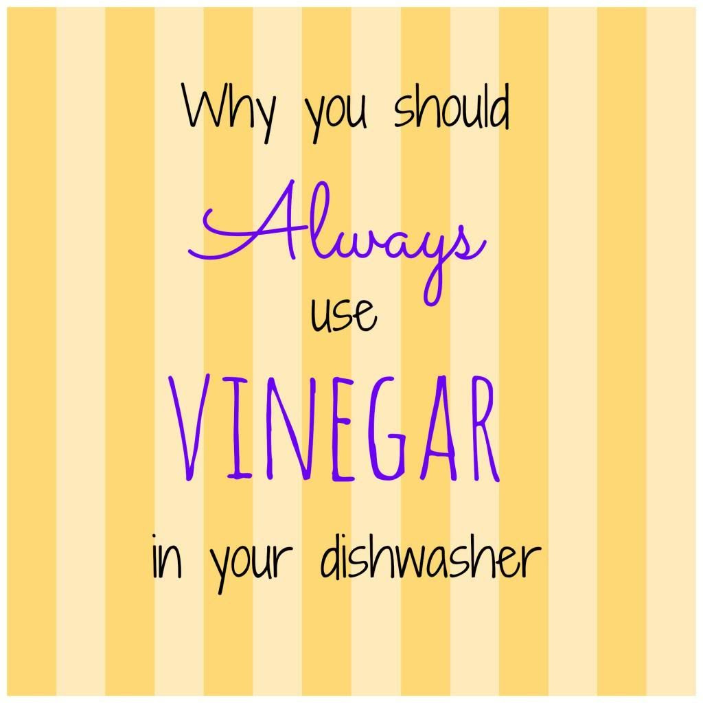 Dishwashing with Vinegar