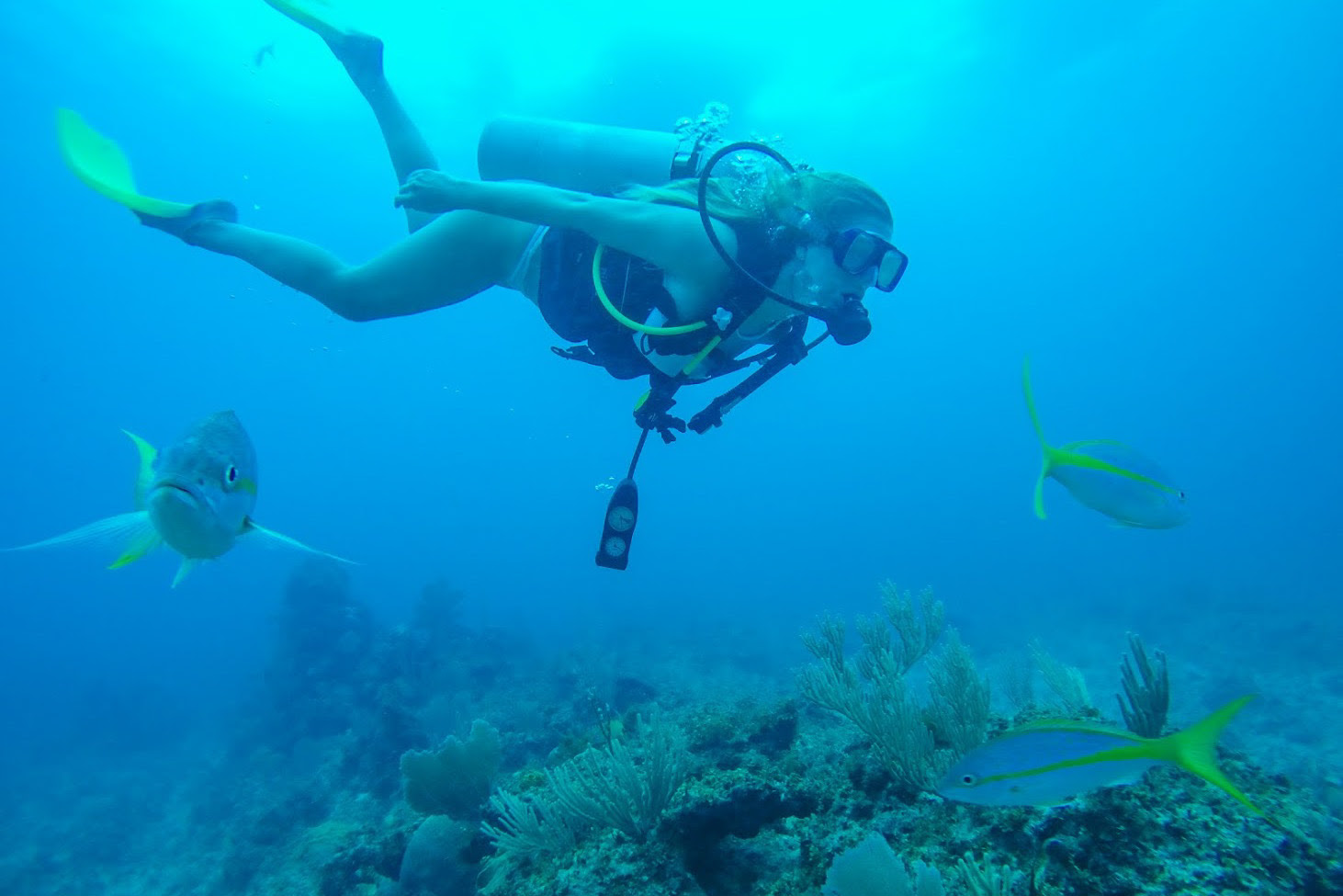 GoPro Scuba Diving 