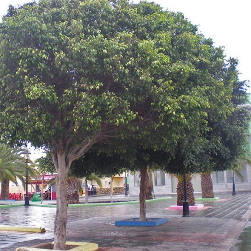 Gambar