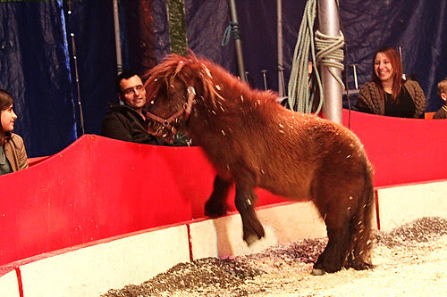 Circus9