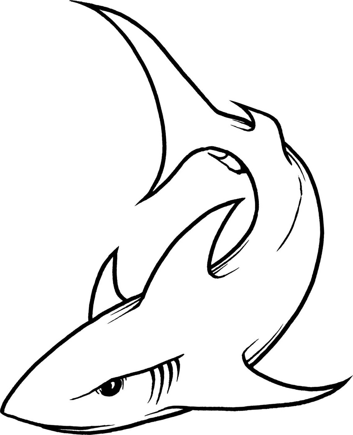 Free Free 212 Hammerhead Shark Svg Free SVG PNG EPS DXF File
