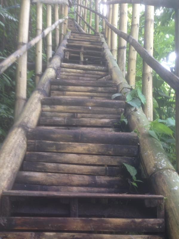 23+ Inspirasi Baru Tangga Bambu