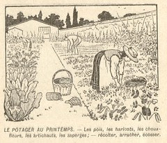 jardin au printemps
