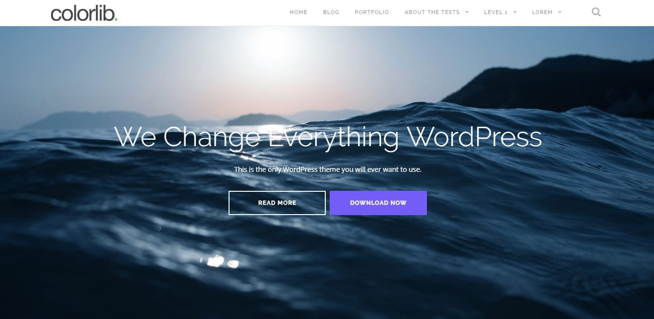 Front-Page---Shapely-Theme-Demo