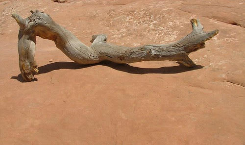 Utah