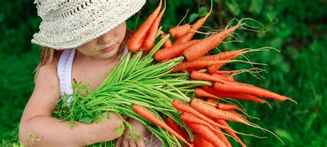 Our services go beyond delivering the healthiest, highest quality products for our customers. 50 Random Facts about Organic Food | FactRetriever.com