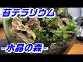70以上 テラリウム 水晶 143867-テラリウム 水晶