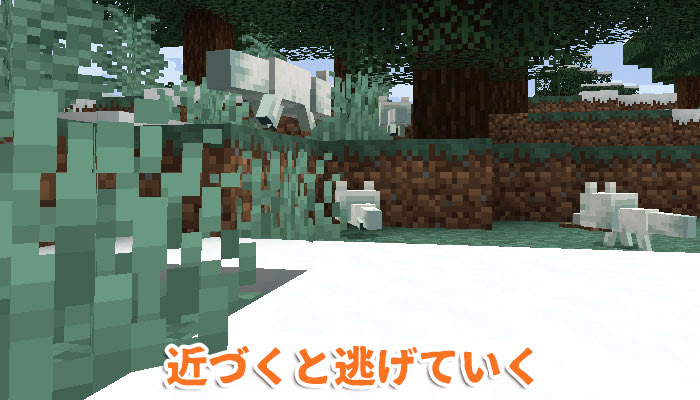 マイクラ キツネのスポーン地域と手懐け 繁殖方法 かわいいキツネのふるまいって マイクラモール