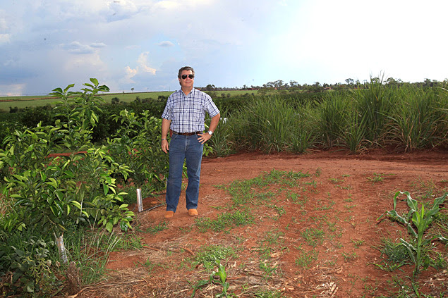 O agricultor Carlos Eduardo Correa Júnior, que tem laranja e cana em sua fazenda em Terra Roxa
