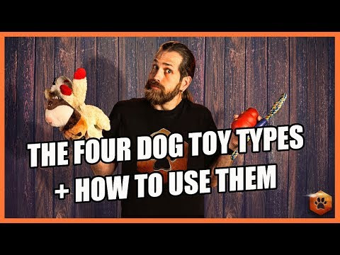 Youtube Best Pet Supplies Pet Training Aids Pet Training Clickers Treat Dispensers For Sale