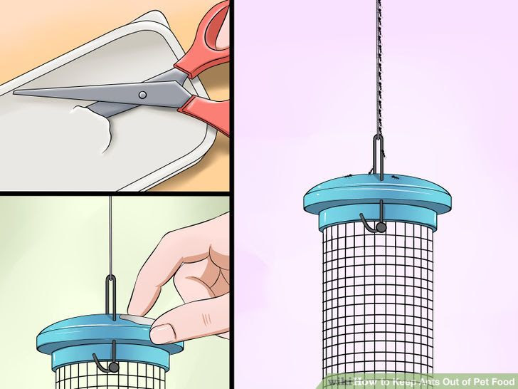 Keep Ants Out of Pet Food Step 10 Version 2.jpg