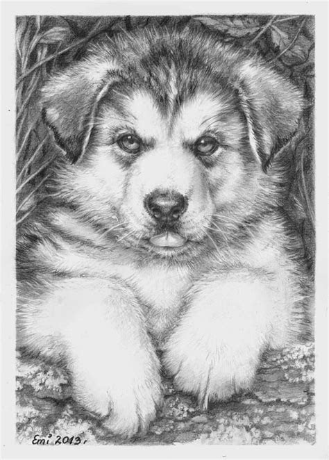 kleurplaat puppy tekenen