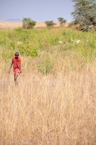 Masaiboyinthe fields