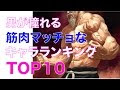 画像 アニメ 筋肉 キャラクター 129504
