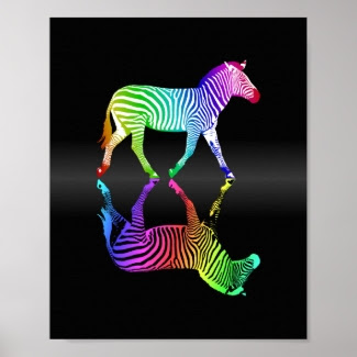 Colorful Rainbow Zebra Inversion