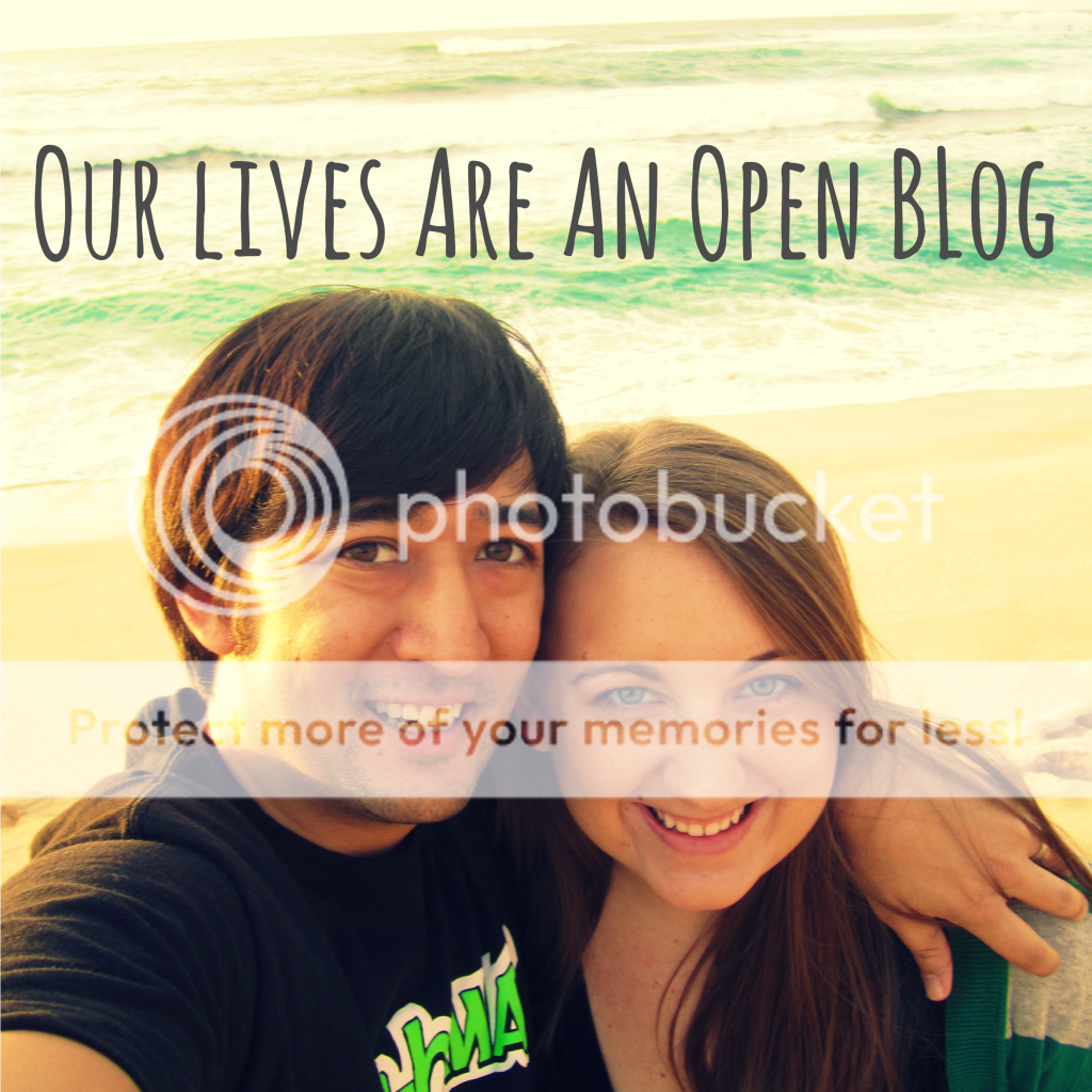 Our Lives Are An Open Blog