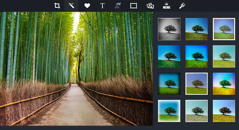 Desktop Photo Editing Tools - piZap