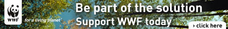 Be part of the solution. Support WWF today