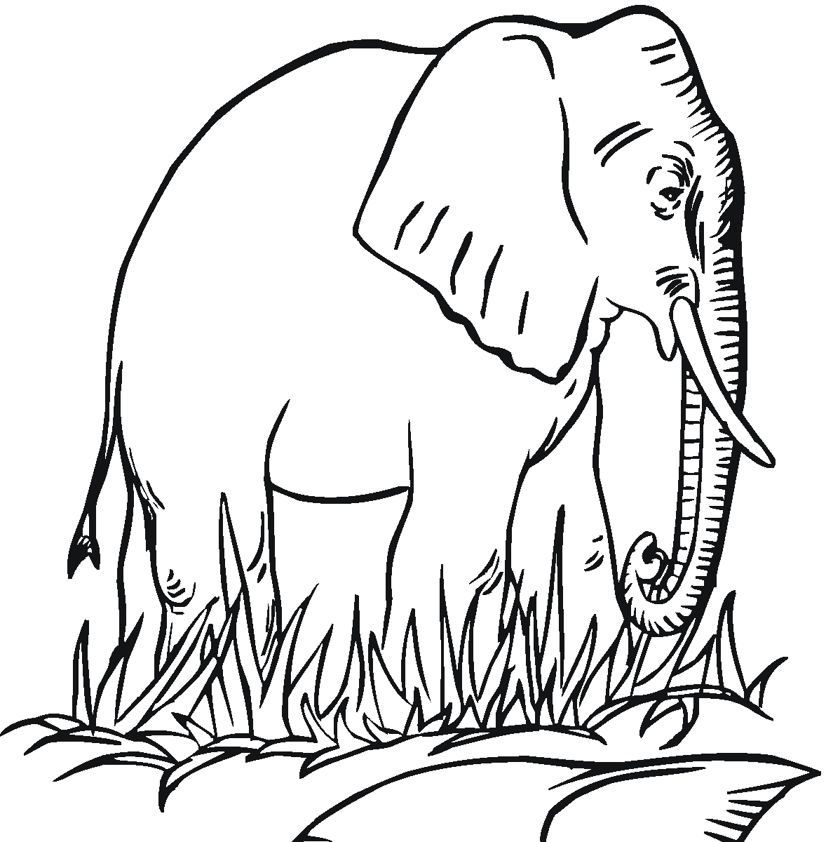 Download Free Elephant Coloring Pages
