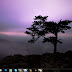 Zedge Wallpapers For Pc : Free Download To Zedge Wallpapers Get Zedge Wallpapers Zedge Wallpapers For Pc 1024x768 For Your Desktop Mobile Tablet Explore 46 Zedge Desktop Wallpaper Computer Zedge Wallpapers For Desktop Free / Search free pc wallpapers on zedge and personalize your phone to suit you.