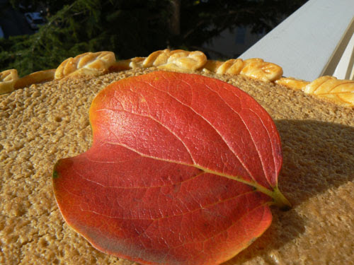 pumpkin pie.jpg