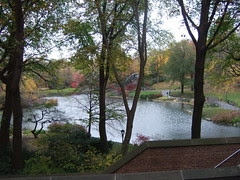 Central Park 02