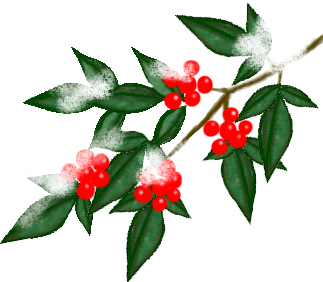 季節の花イラスト 南天