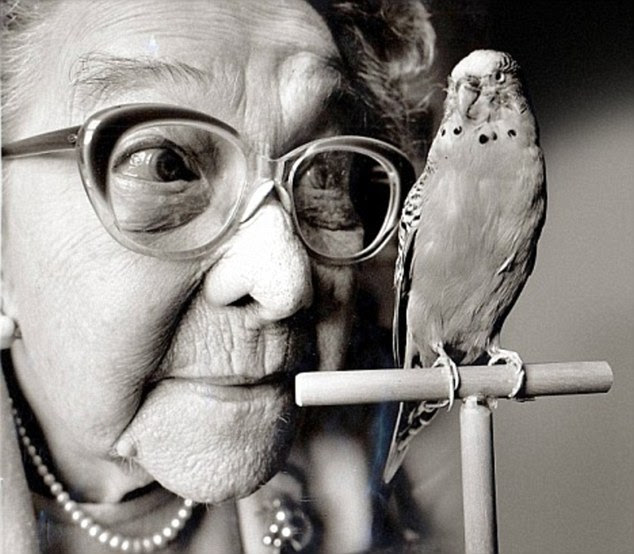 Sparkie Williams, a budgie who, by the time of his death in 1962, had a vocabulary of 531 words, could say 300 sentences and perform ten different rhymes. He even landed his own bird seed commercial