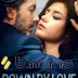 Down by Love (2016) Dual Audio [Hindi (FanDub)+French] 480p DVDRip 350MB