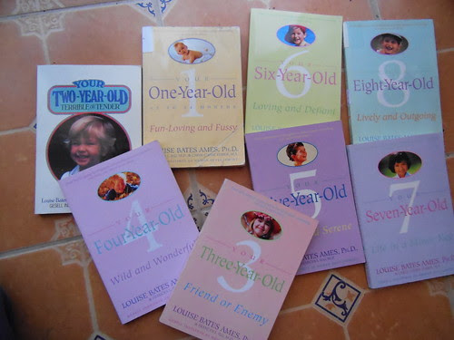 Libros sobre el desarrollo infantil