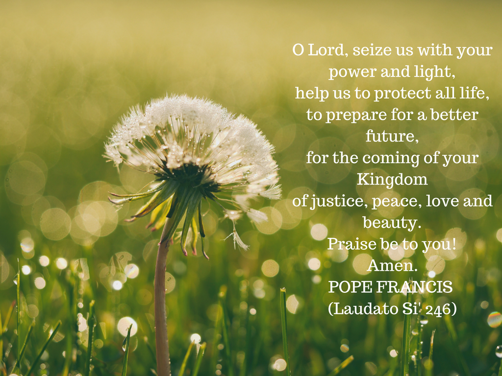 Christians In Dublin Invited To Celebrate The World Day Of Prayer For All Creation Radio Maria Ireland