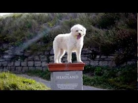 Headland inn Spa