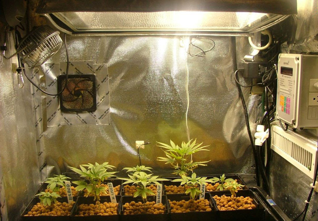 home made hydroponics deep water lifestyle