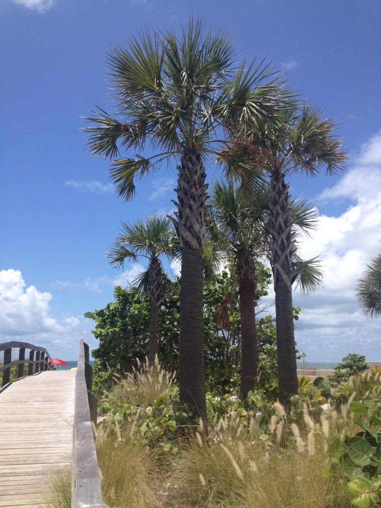 Beach inlet on Florida Gulf Coast