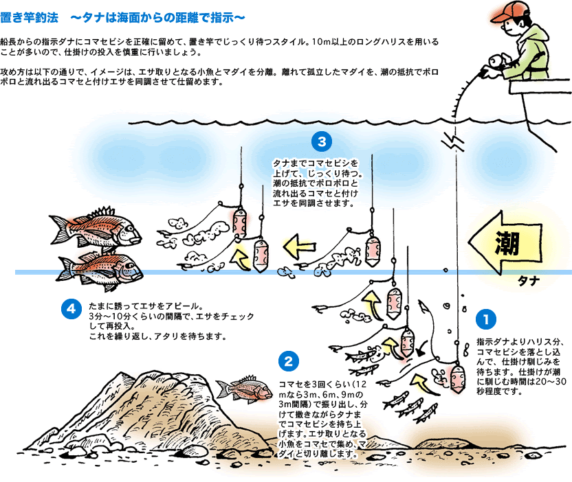 Daiwa 21 マダイ イサキ ブリ類を魚を寄せて攻めるコマセ釣りで釣る Web Site