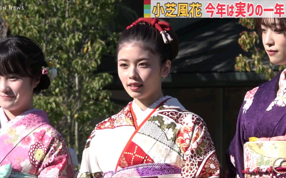 小芝风花 哔哩哔哩 Bilibili