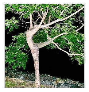 gambar_sexy.jpg