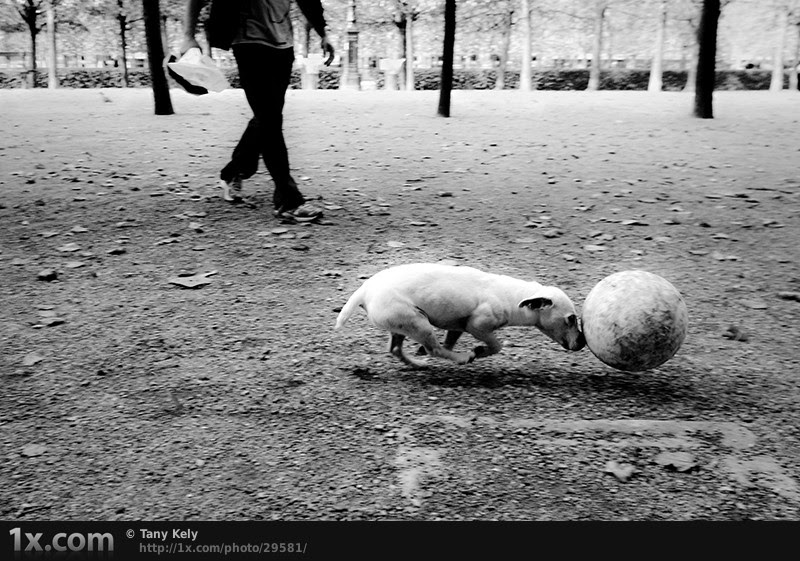 street photography favs, rg443