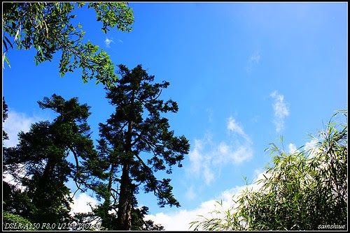 DSC05800