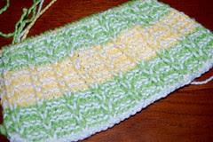 Dishcloth1