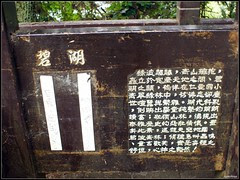 DSC09529