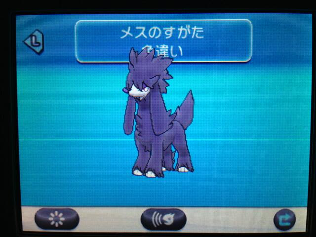 色違いいつ出るんだよ 色トリミアン