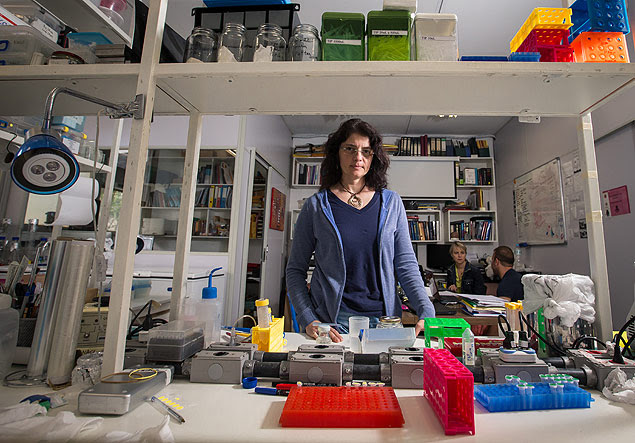 Rio de Janeiro, RJ,BRASIL, 30/10/2015;Retrato da neurocientista Suzana Herculano-Houzel, que está fazendo uma vaquinha virtual para conseguir tocar seu laboratório. (Foto: Ricardo Borges/Folhapress. ) *** EXCLUSIVO FOLHA***