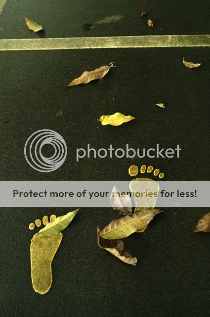 Image hosted by Photobucket.com