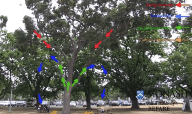 التعليم في المستقبل 