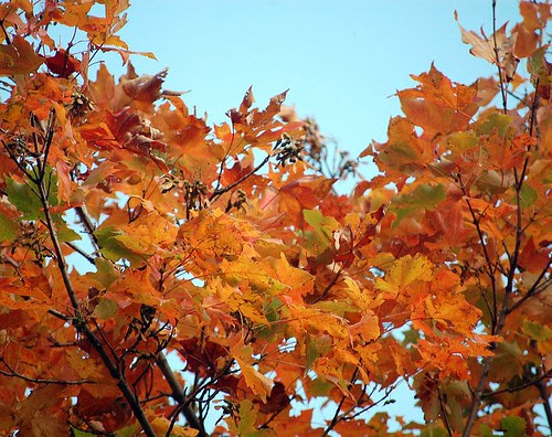 30 days of happiness day 26