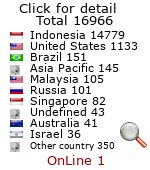 website counter code
