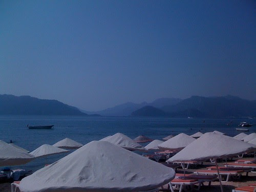 photo(2)