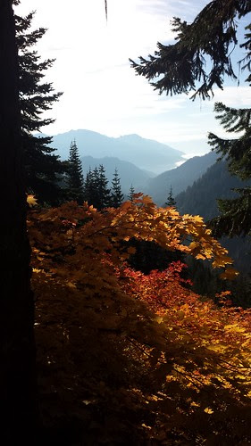 20131016_093131