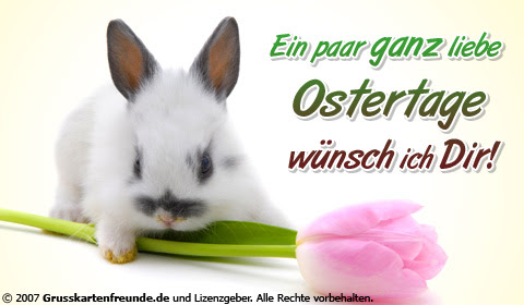 die besten lustigsten sprüche